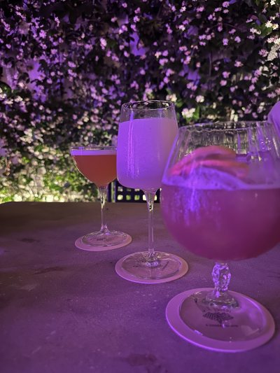 Bar Louise