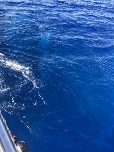 Zenobia Wreck Diving Site