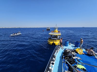 Zenobia Wreck Diving Site