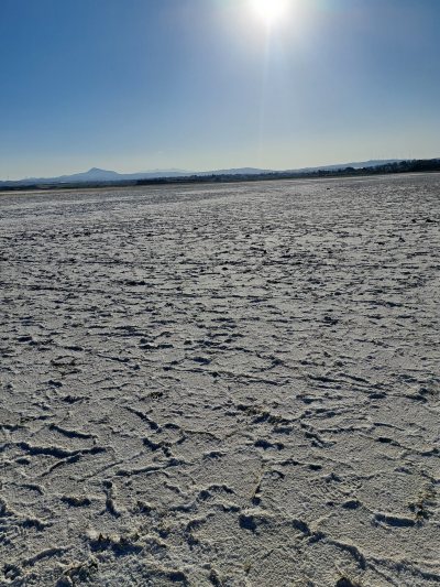 Salt Lake View Point