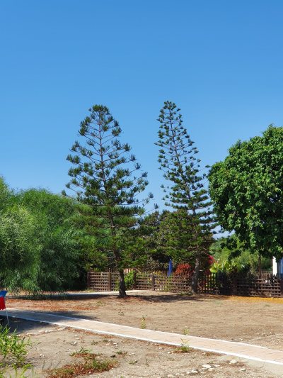 Spyros Seaside Beach