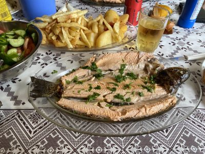 Droseri Potamia