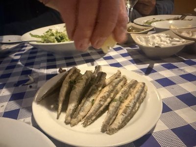 Ταβέρνα -Τσιπουράδικο, Ουζερί Αγία Μαρίνα