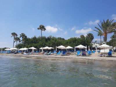 Taverna