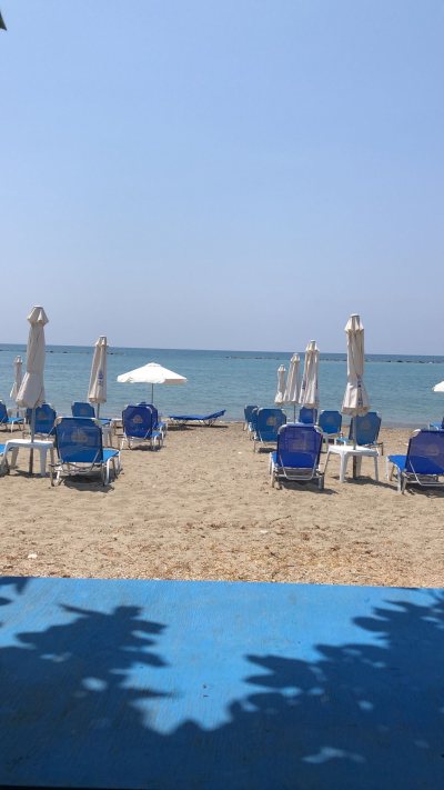 Taverna