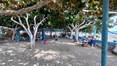 Taverna