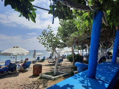 Taverna