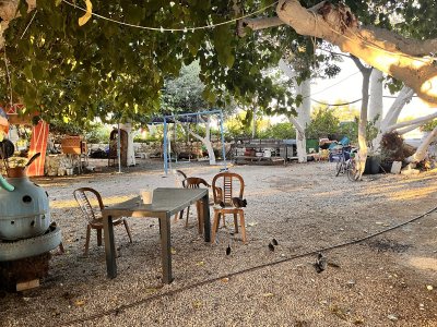 Riccos beach bar