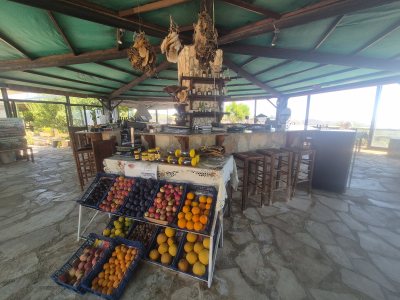Trakkos Donkey Farm