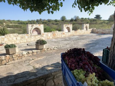 Sterna Winery & Wine Museum-Kathikas,Paphos