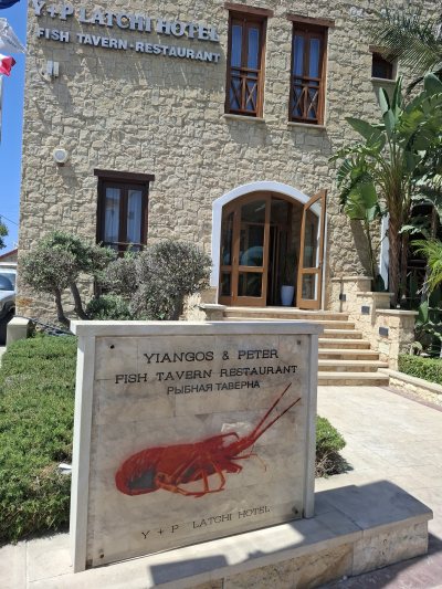 Y&P Fish Tavern