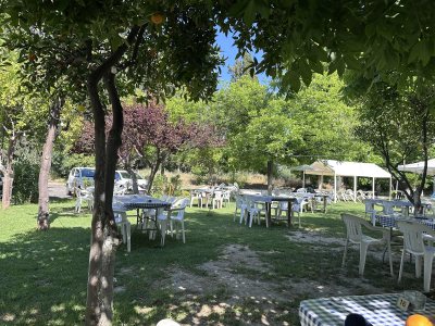 Vrisi Restaurant