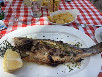 Trattoria La Vigna