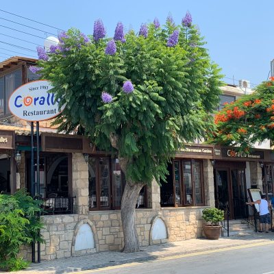 Corallo Restaurant