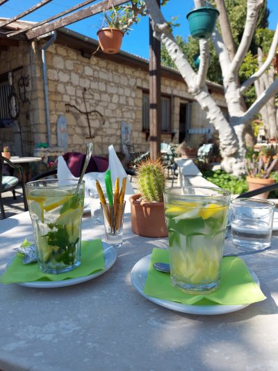 Art Cafe Kivotos 3000