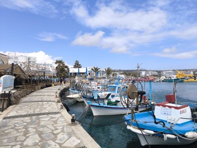 Vassos (Psarolimano) Fish Tavern
