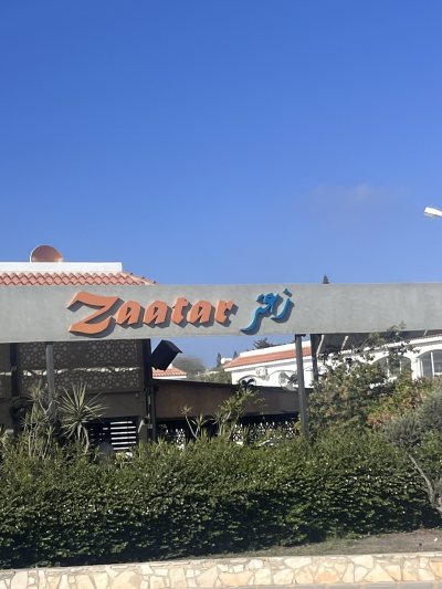 ZAATAR food arts: Lebanese Syrian Cuisine حلال‎ زعتر