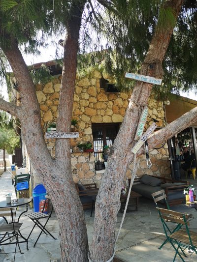 The Amphitheater bar & more