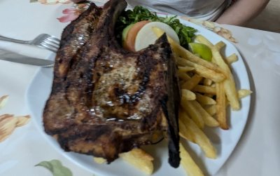 FANIS SNACK FANIS SOUVLAKIA