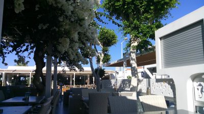 Hippocampus Lounge Restaurant