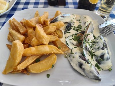 IFALOS TAVERNA
