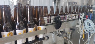 Octo Microbrewery Octopus beer