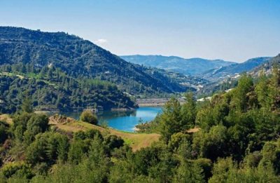 Paphos Forest