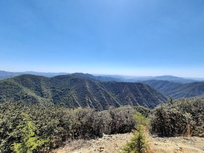 Paphos Forest