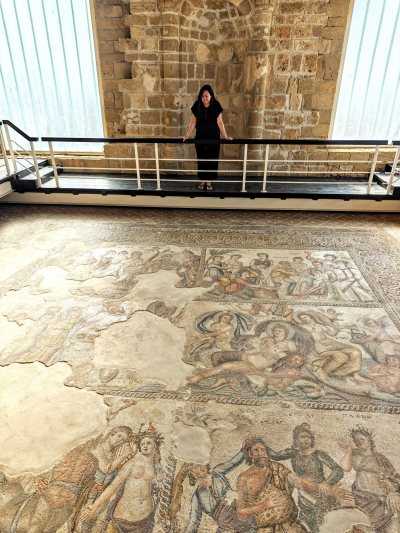 Paphos Mosaics