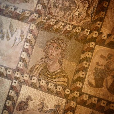 Paphos Mosaics