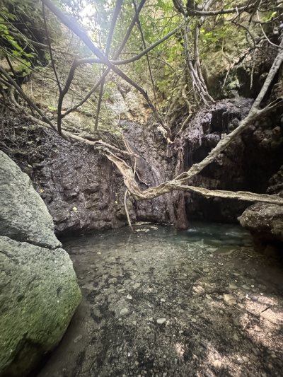 Akama National Forest Park