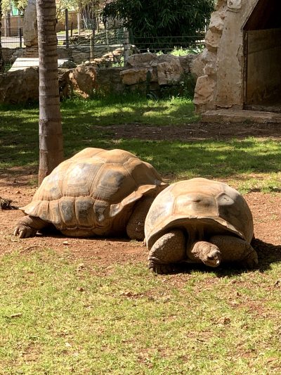 Pafos Zoo