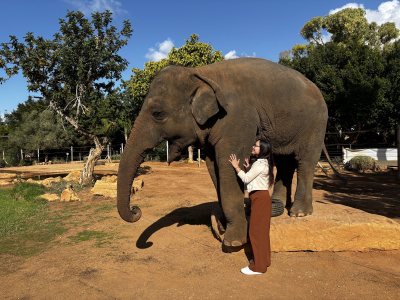 Pafos Zoo