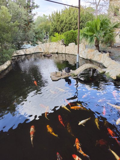 Pafos Zoo