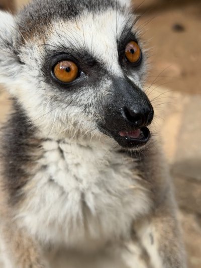 Pafos Zoo