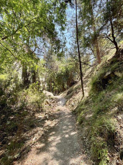 Avakas Gorge Nature Trail