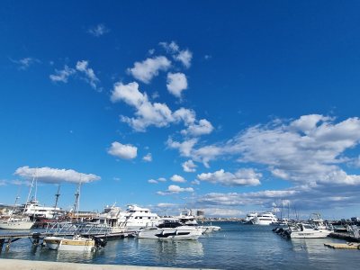 Paphos Harbour