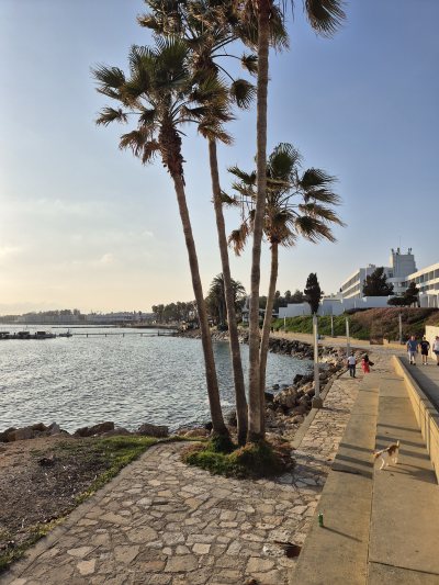 Paphos Harbour