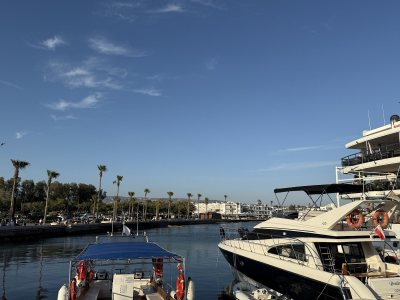 Paphos Harbour