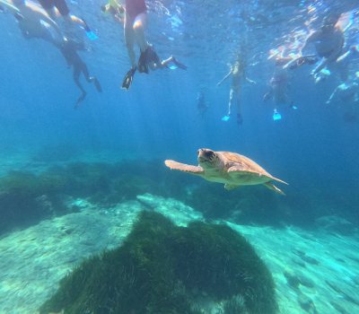 Sea Adventure & Activities