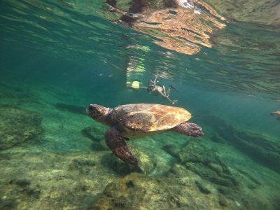 Sea Adventure & Activities