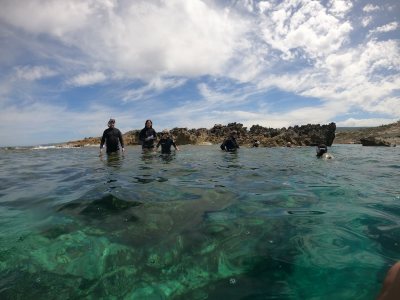 Sea Adventure & Activities