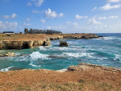The Edro III Shipwreck