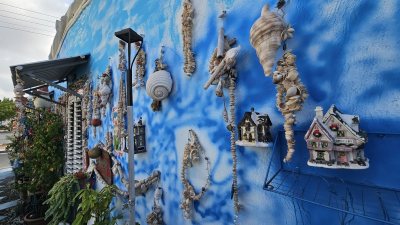 The Blue Shell House
