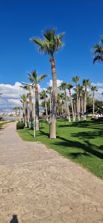 Giant Chair Of Paphos