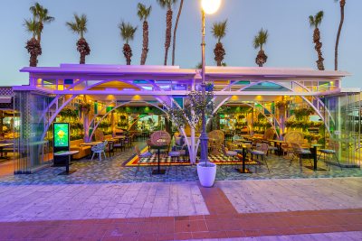 Vivid Kitchen & Bar