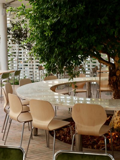 AYA COOKS restaurant