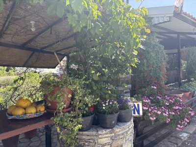 Panadentro Tavern