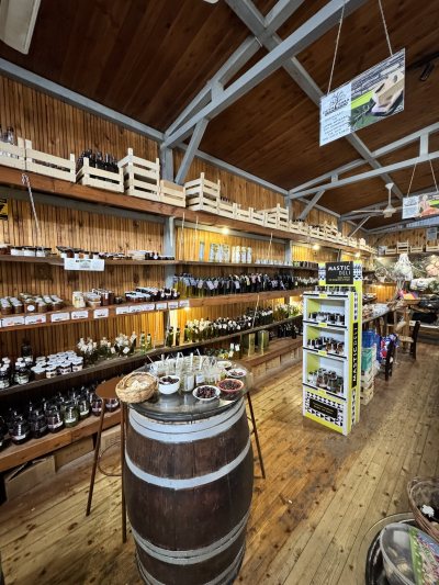 Terra Oliva Organic Olive Farm