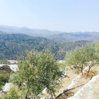 Terra Oliva Organic Olive Farm
